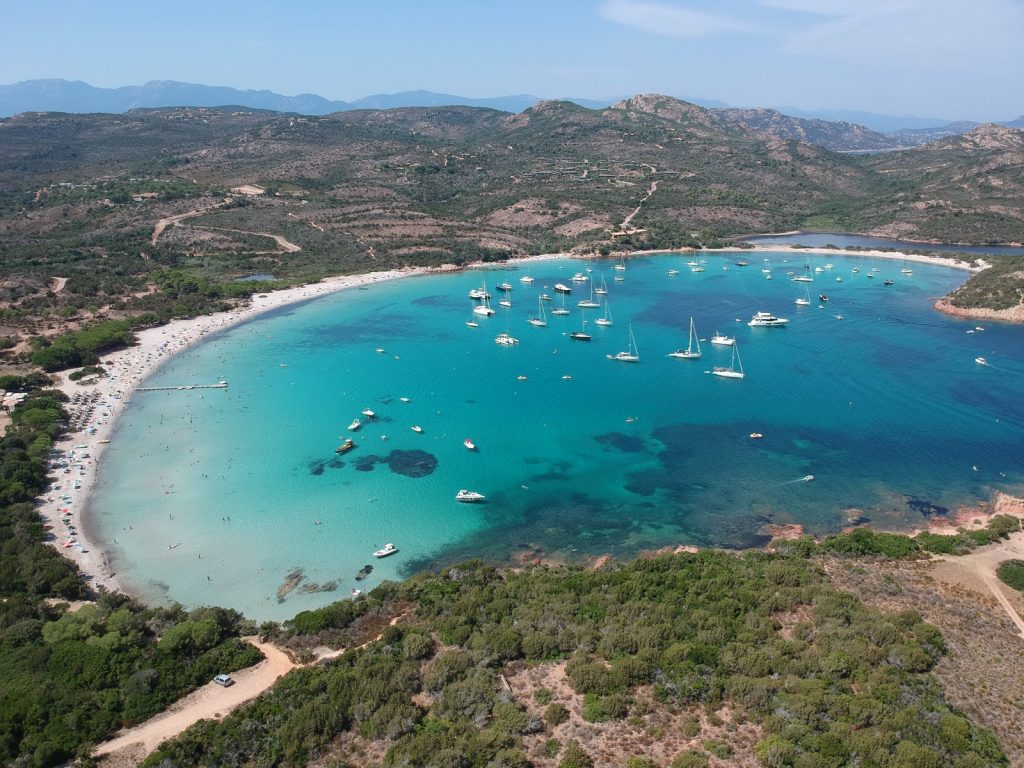 aerial view of people on beach during daytime