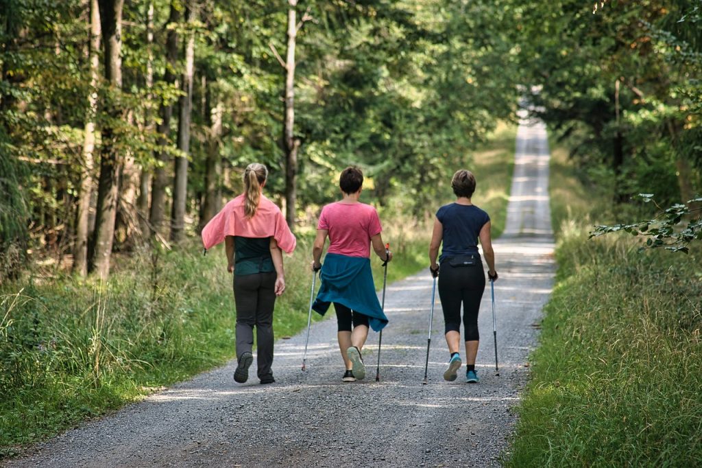 women, nature, walking, hike, path, forest, activity, exercise